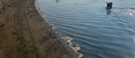 在海滩、沙滩椅、沙滩毛巾