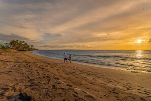 Beach nearby, sun-loungers, beach towels