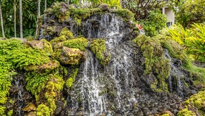 A waterfall cascading over moss-covered rocks, surrounded by lush greenery. - 2BR/2BA Wailea Condo w AC Pool Close to Beach - Grand Champions 163 (Kihei)