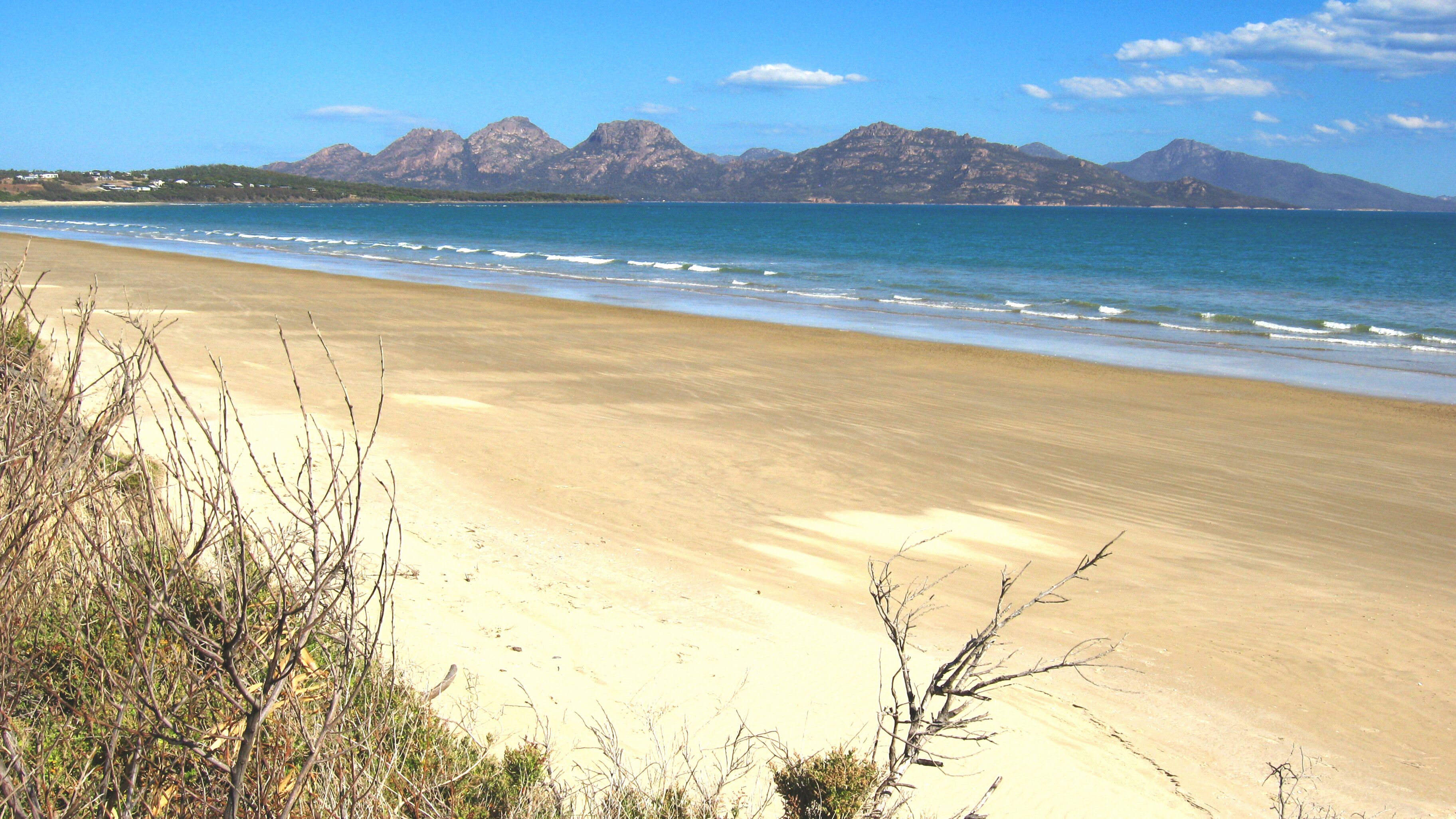 Dolphin Shores - A very private beachfront oasis with separate games room. — image 28