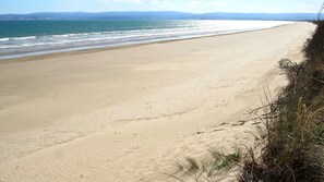 On the beach, sun-loungers, beach towels - Dolphin Shores - A very private beachfront oasis with separate games room. (Dolphin Sands)