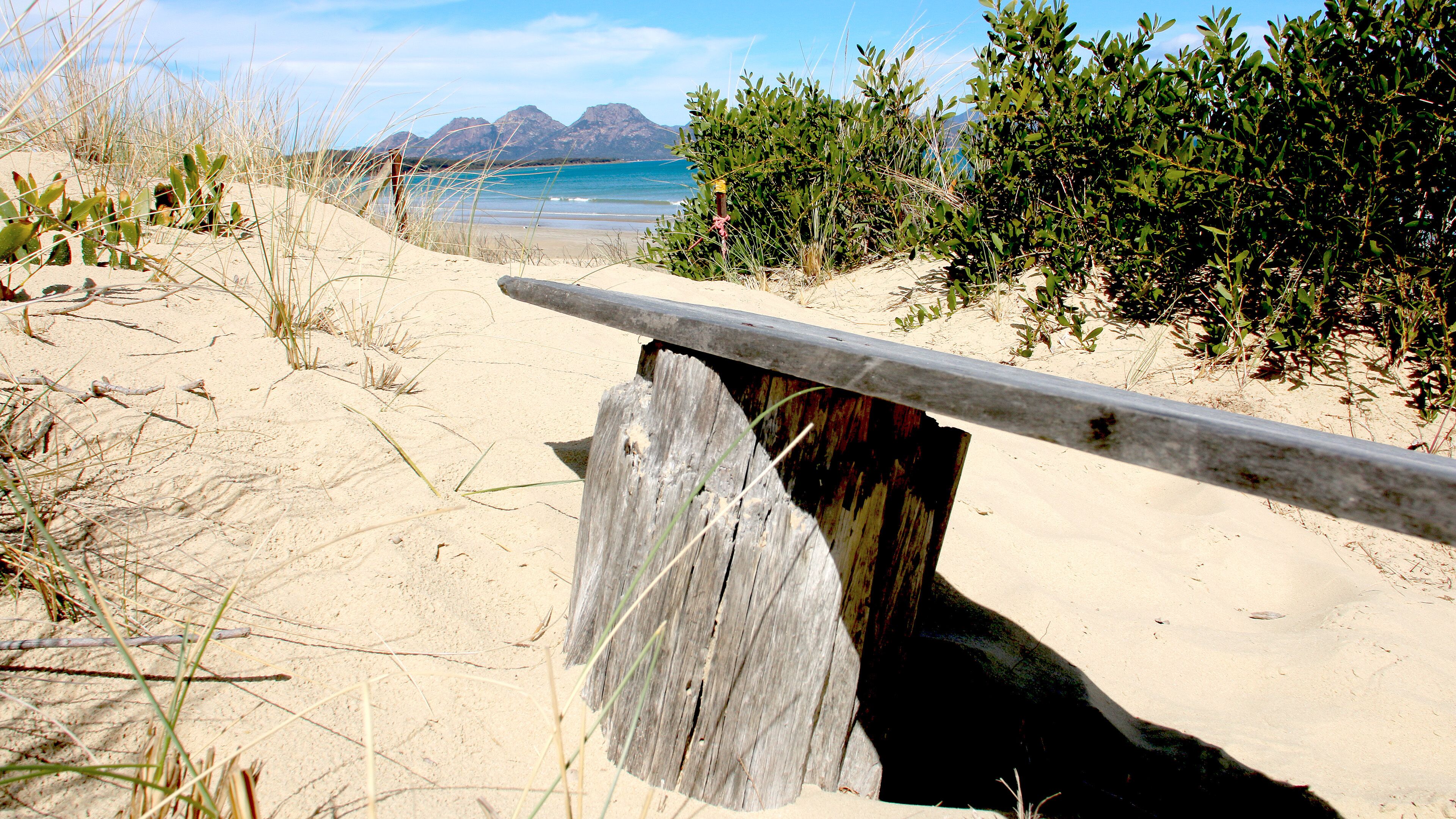 Dolphin Shores - A very private beachfront oasis with separate games room. — image 3