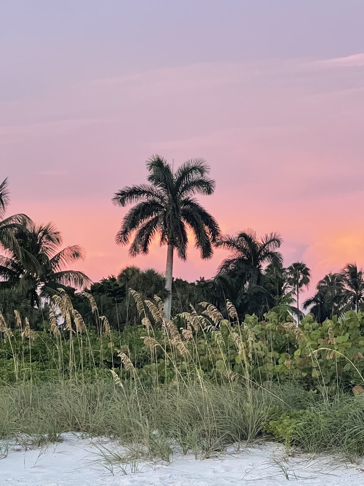 Photo 20 of Walk to the Beach! Private Villa with Pool & Lanai – Perfect Naples Getaway