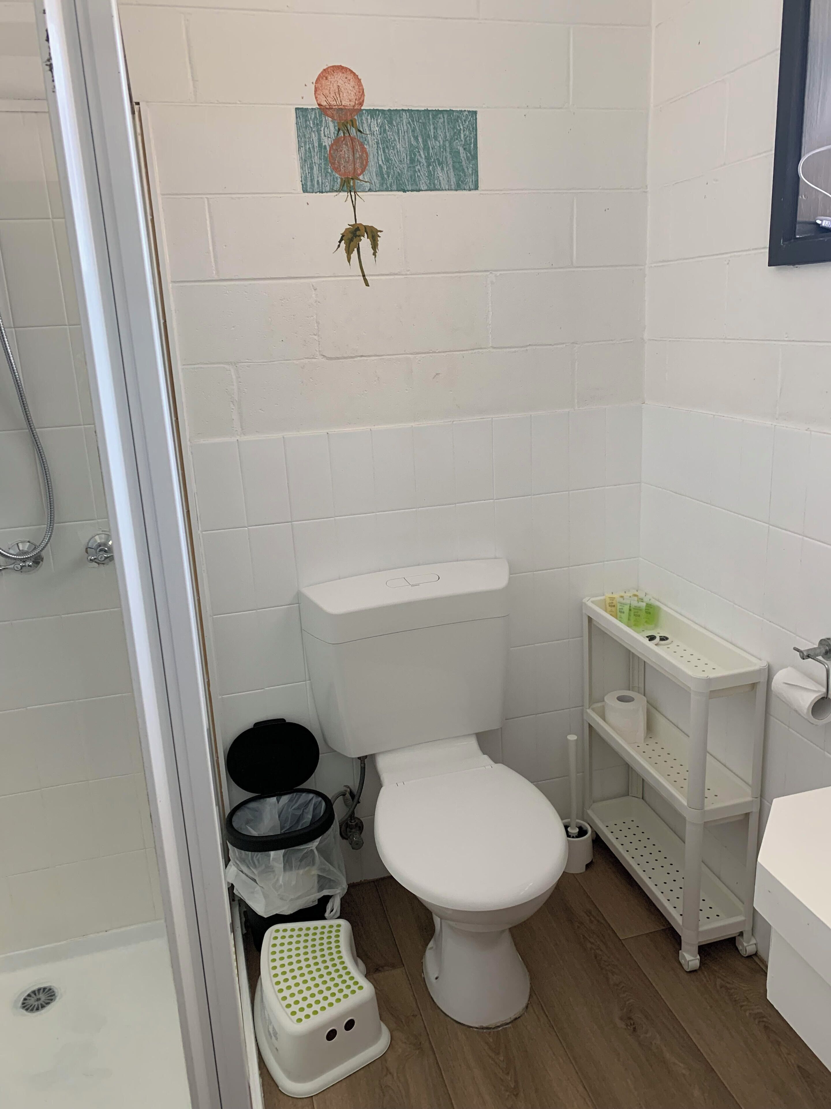 Un baño con inodoro blanco, ducha, un taburete pequeño, estante con artículos de tocador y un adorno en la pared.