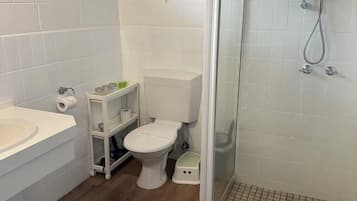 Une salle de bain équipée d’une douche, de toilettes, d’un lavabo et d’un élément décoratif mural.