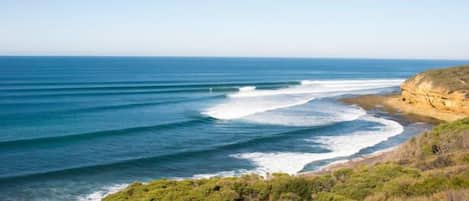 بالقرب من الشاطئ