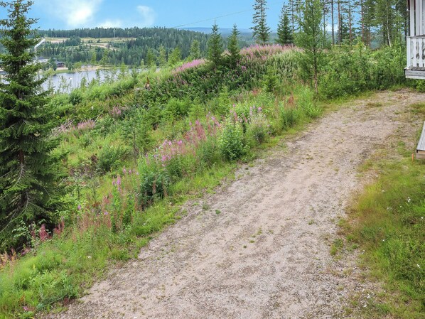 Terrain de l’hébergement 