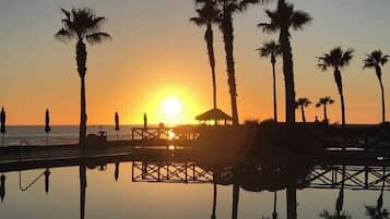 A beach scene with palm trees and a sunlit sky.