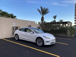 En hvid Tesla holder i en parkeringsplads med en klar blå himmel og palmer i baggrunden.
