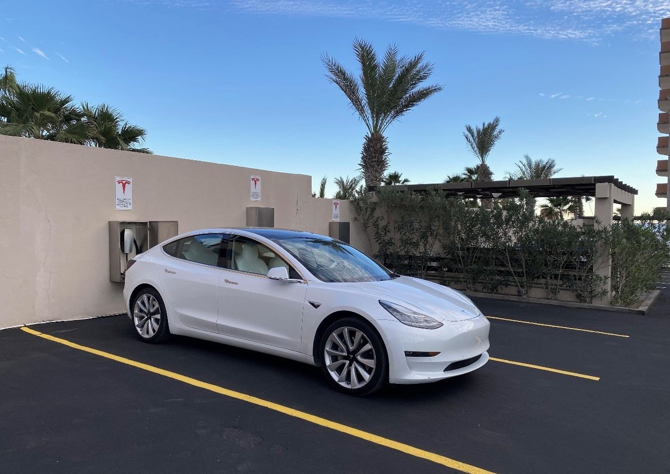 Een witte Tesla staat geparkeerd op een parkeerplaats, met een heldere lucht en palmbomen op de achtergrond.