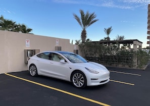 A white Tesla parked in a parking lot with a clear sky and palm trees in the background.