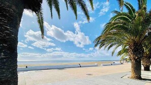 Un chemin pavé bordé de palmiers, qui mène à la plage.