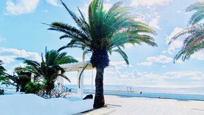 Une promenade dallée bordée de palmiers, offrant une vue dégagée sur la mer.