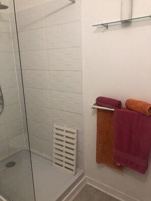 Shower, hair dryer, towels