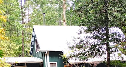 Perfect Cabin Near Lake Rabun Beach, Beautiful Hikes, Waterfalls, Tallulah Gorge