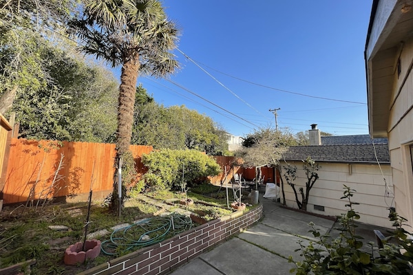 Renewed backyard garden for fun outdoors gathering and reading time. BBQ grill.