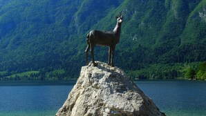 Exterior - A Great Choice for Travellers Interested in Tranquility, Excursions and Mountains (Bohinj)