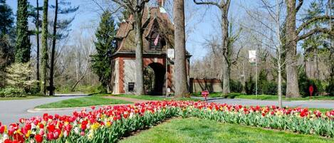 Áreas de la propiedad