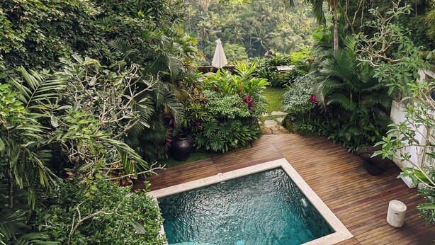 A pool surrounded by lush greenery and a wooden deck. - The Sayan House (Ubud)