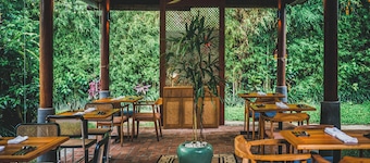 The Sayan House
