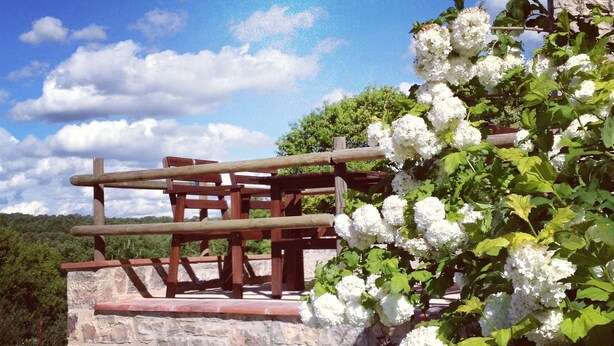 Estructura de piedra con un banco de madera y flores blancas.