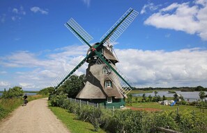 Imagem sem classificação, 2 de 18, botão