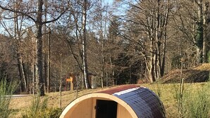 Una sauna in legno con porta, una piattaforma in legno che vi conduce e un ambiente naturale con alberi ed erba.