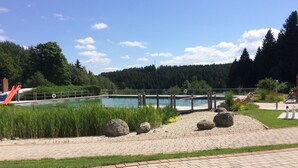 Una piscina con uno scivolo, circondata da un'area verde con rocce ed erba.