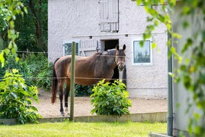 Unclassified image, 4 of 32, button