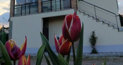 Comfort, relaxation and nature