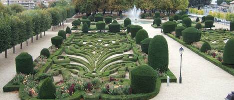 المنطقة المحيطة بالمنشأة