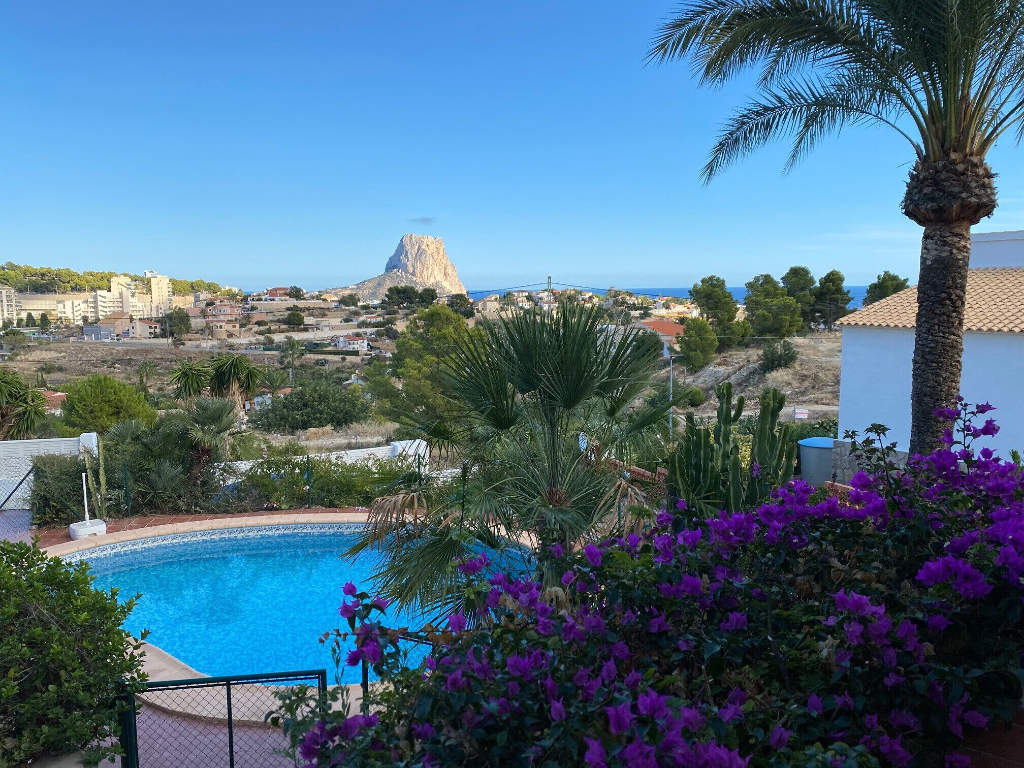 A pool with a view of a coastal town, palm trees, and purple flowers.