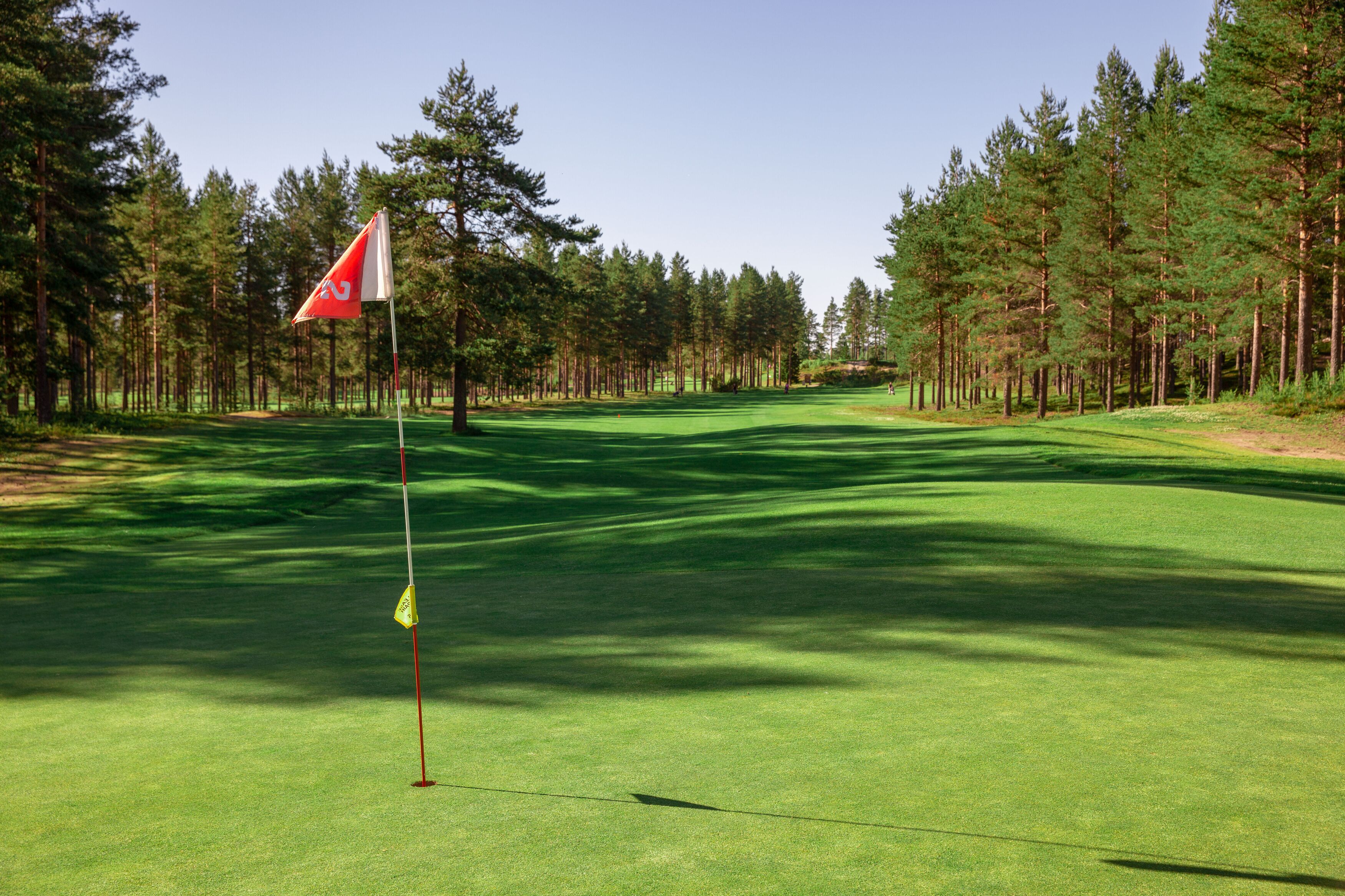 Golfkenttä, jossa on lipunvarsi, ja jonka ympärillä kohoaa korkeita mäntyjä.