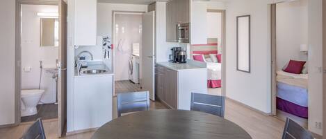 A modern, open-plan living space with a kitchen, dining area, and a separate sleeping area.