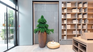 A modern interior with a large potted tree, a wooden bench, and a bookshelf. - Ji Hotel (Hangzhou)