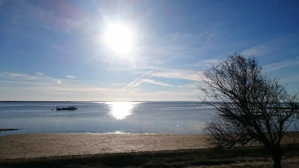 Een strand met een boot op kalm water, een heldere lucht en een boom op de voorgrond.