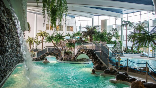 Une piscine intérieure agrémentée d’une cascade, de palmiers et d’un pont en pierre.