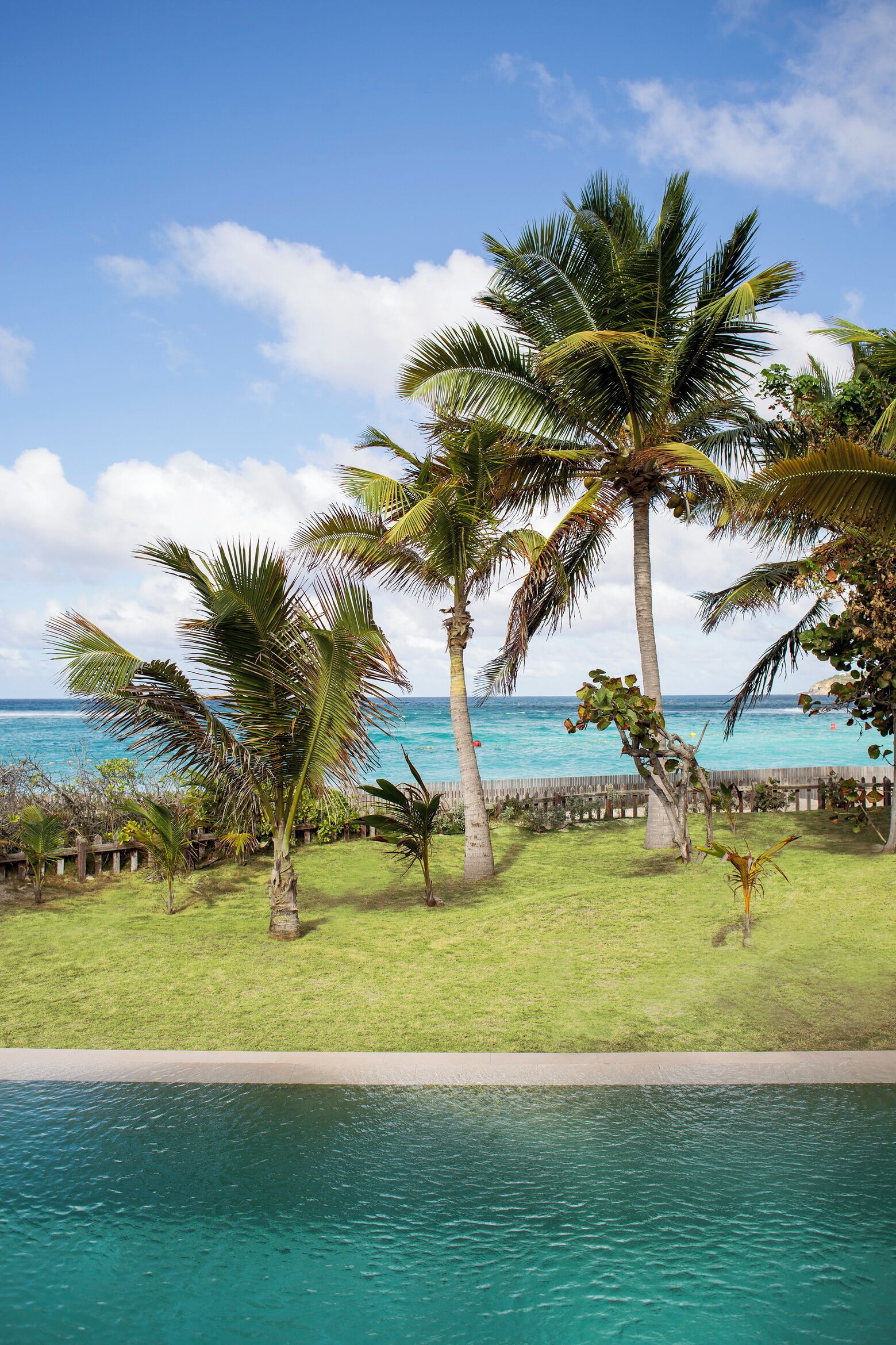 A poolside view with a clear view of the ocean and palm trees.