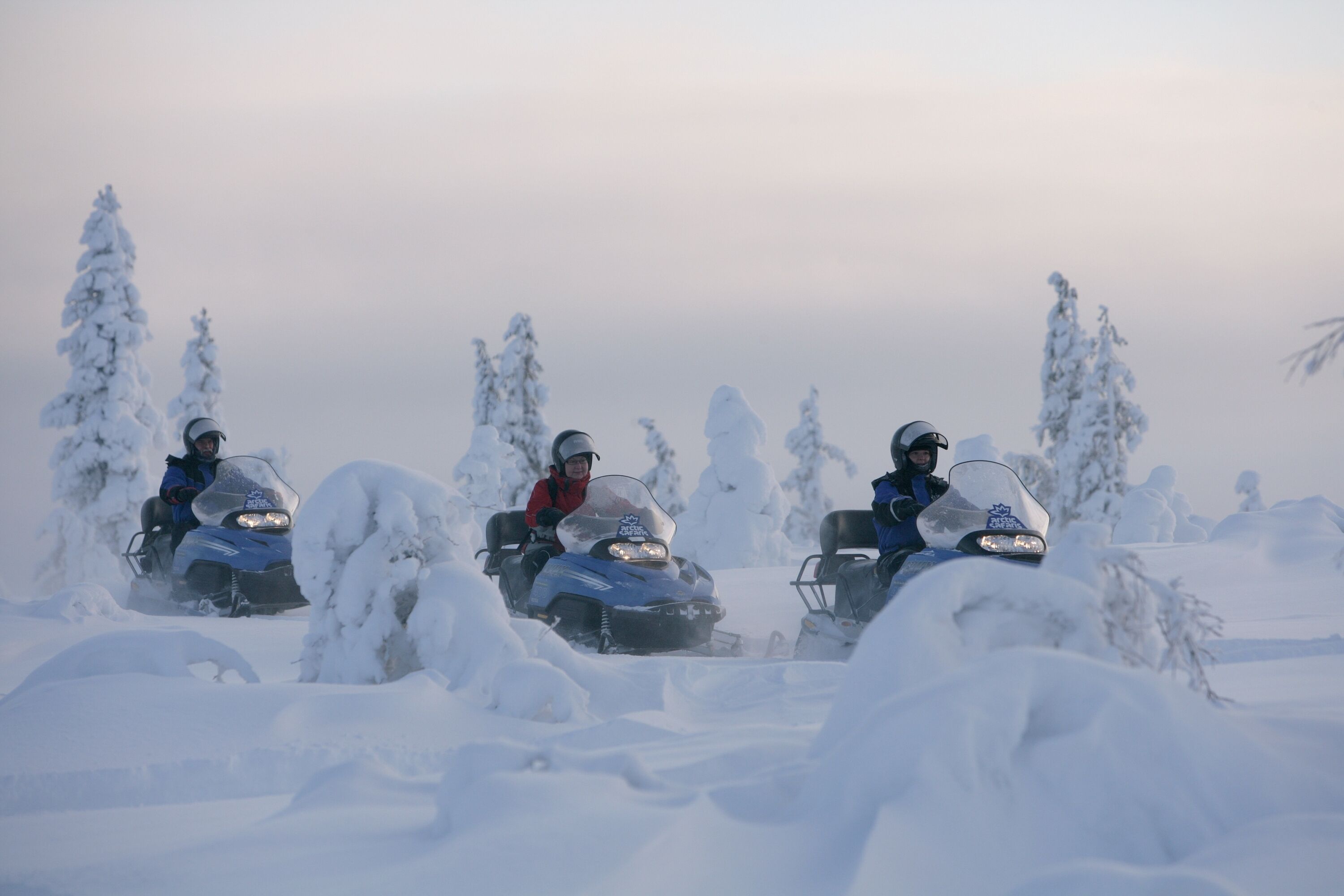 Tres motos de nieve en un sendero nevado, con árboles cubiertos de nieve al fondo.