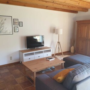 Smart TV, fireplace, books