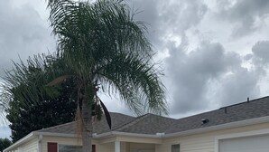 Una casa de un nivel con porche cubierto, garaje y una palmera.