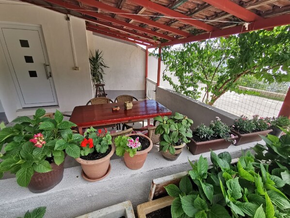 Enjoy a peaceful retreat in this serene outdoor space, surrounded by lush greenery and comfortable seating.