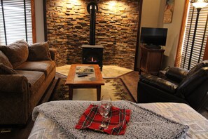 Smart TV, fireplace, DVD player, books