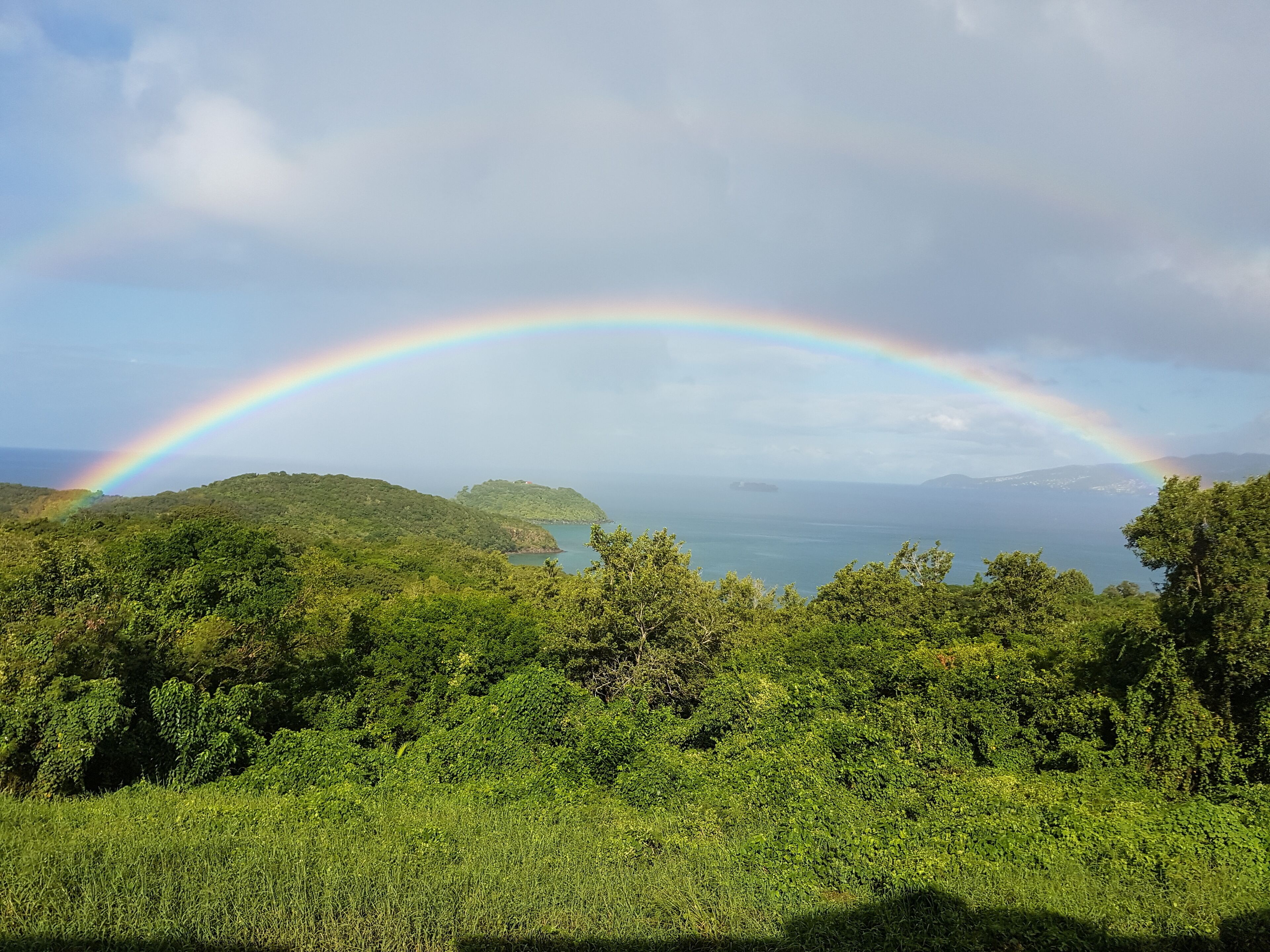 Un paysage verdoyant et luxuriant, avec un arc-en-ciel se déployant au-dessus d’une étendue d’eau et de collines.