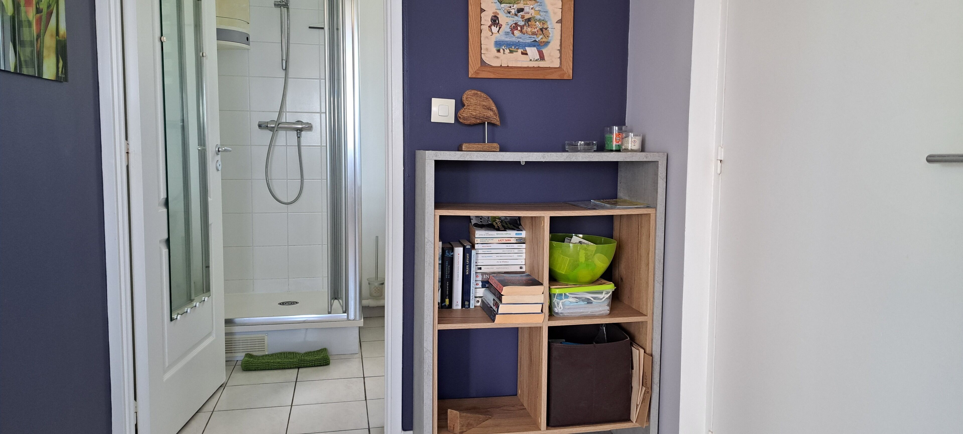 Ein Badezimmer mit Duschabtrennung aus Glas, einer weißen Toilette und einem Holzboden mit Büchern und Behältern.