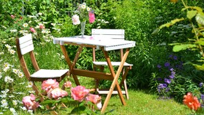 A garden setting with a wooden bench and table, surrounded by various flowers and greenery. - REISEKULTOUREN Apartment PAULINE in the center of Detmold (Detmold)