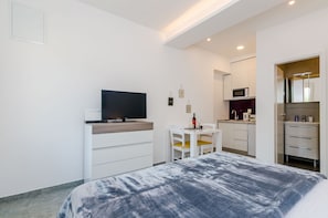 Studio (Studio Apartment with Terrace) | 1 bedroom