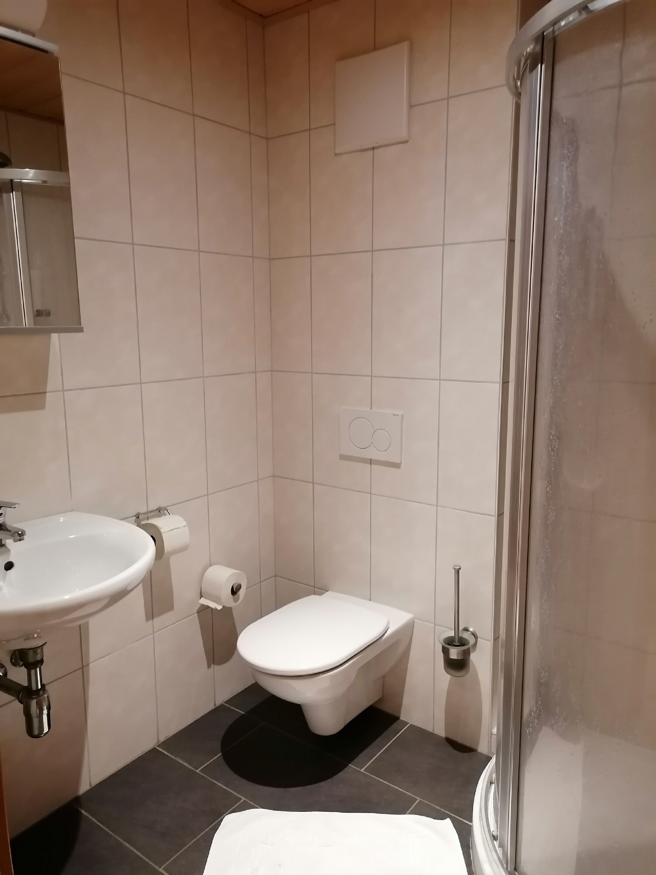 A small bathroom with a sink, toilet, and shower.