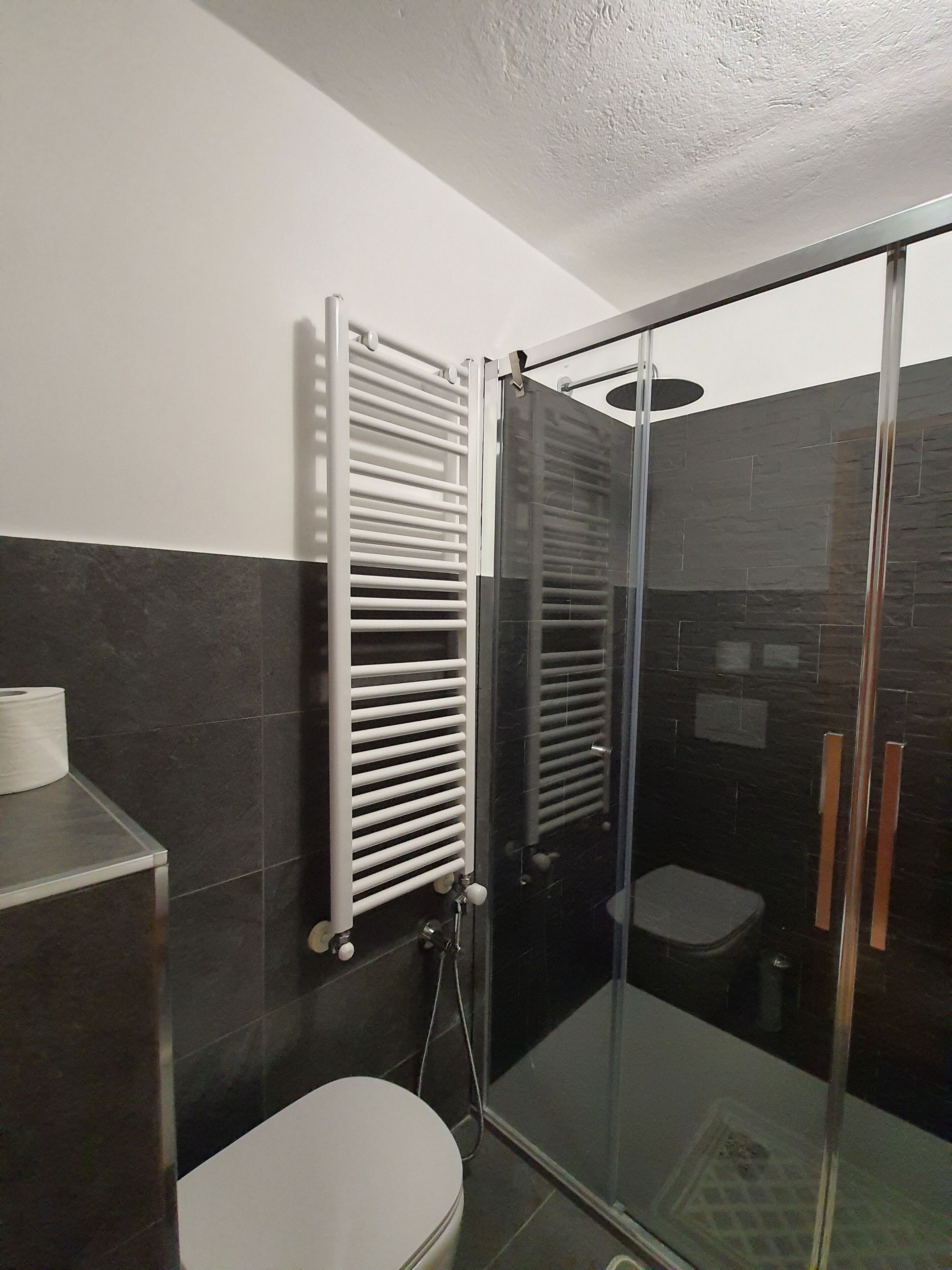 A modern bathroom with a glass shower enclosure, a white toilet, and a towel rack.