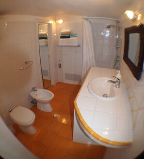 Shower, hair dryer, bidet, towels